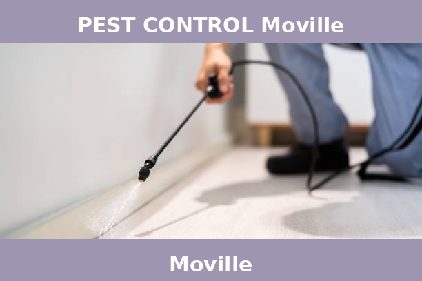 PEST CONTROL Moville